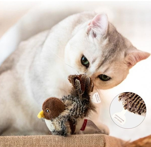 Interactive Mouse & Bird Cat Toy — Motion and Sound Prey Toy