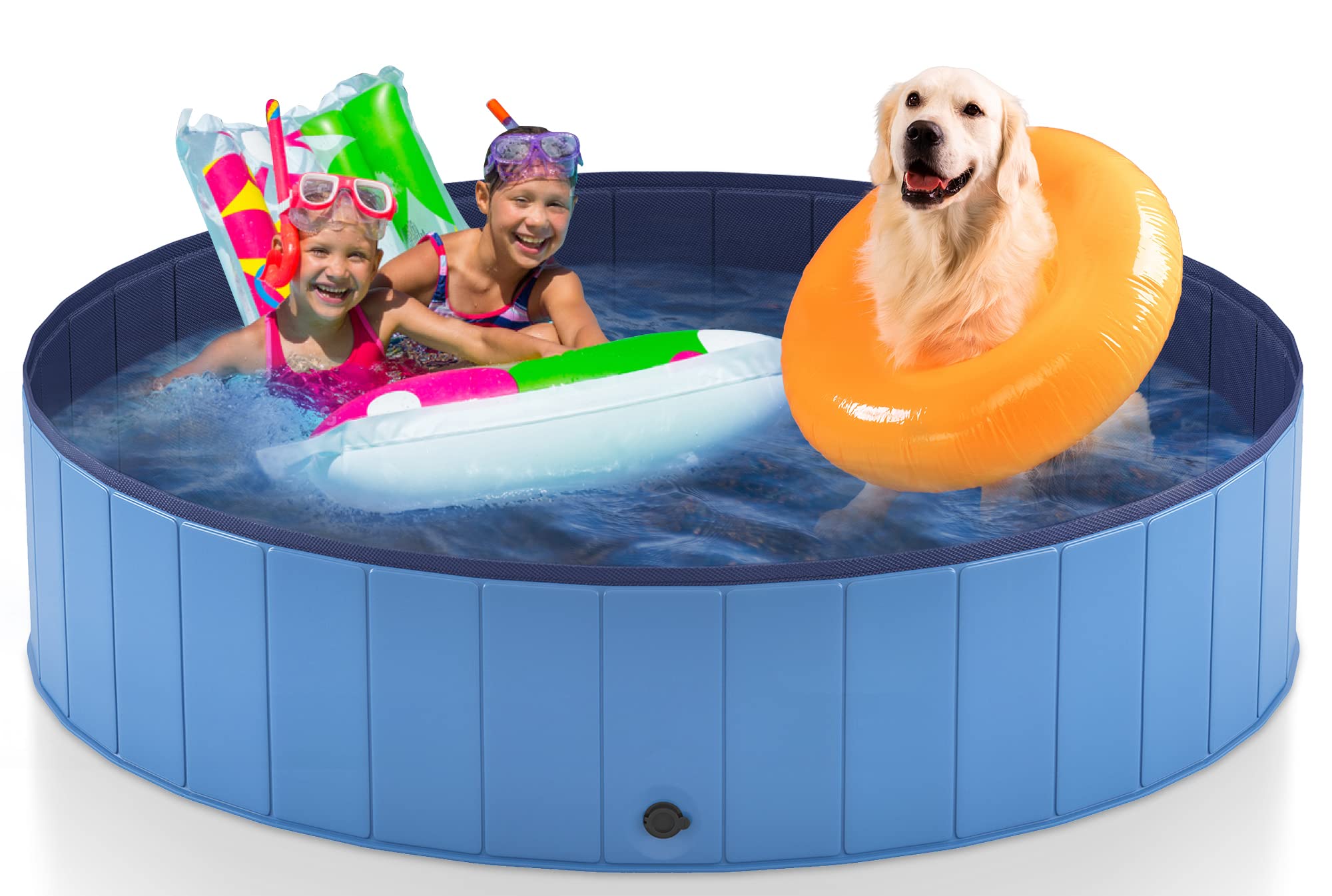 Dog cooling off in a foldable pool — how to keep a dog cool in summer