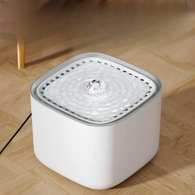 Circulating cat water fountain — why cats drink more from moving water