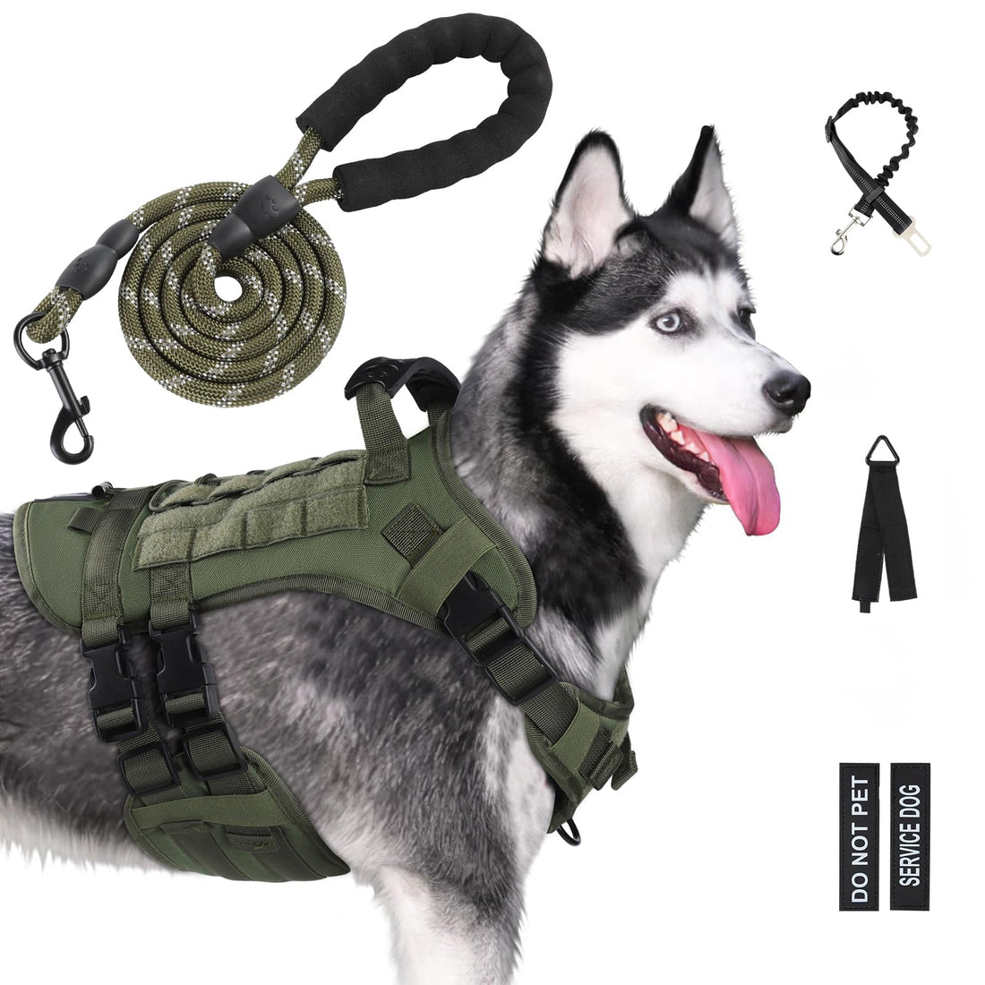 No-pull dog harness with handle — measuring a dog for a harness
