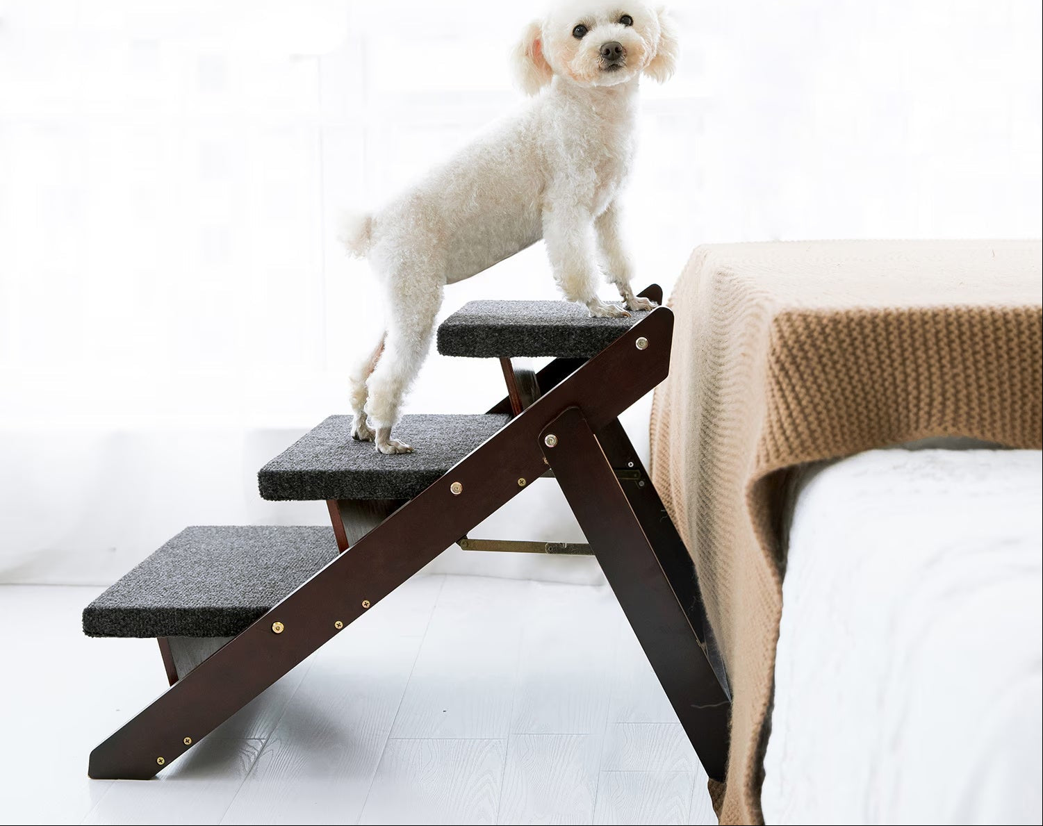 Foldable wooden pet stairs — mobility support for a senior dog
