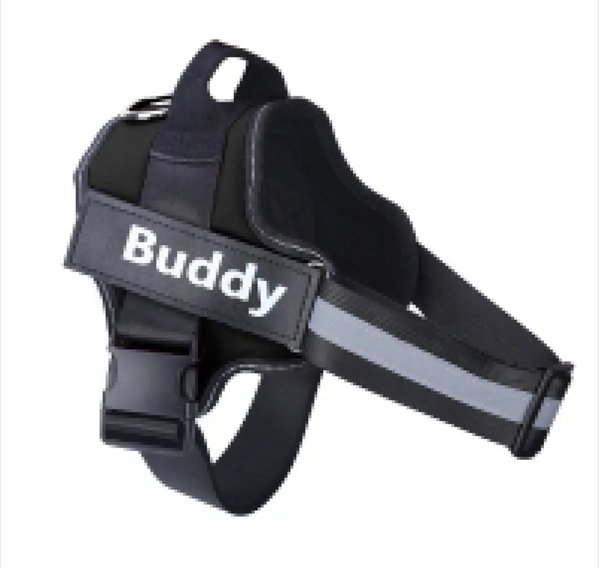 Harnesses & Leashes