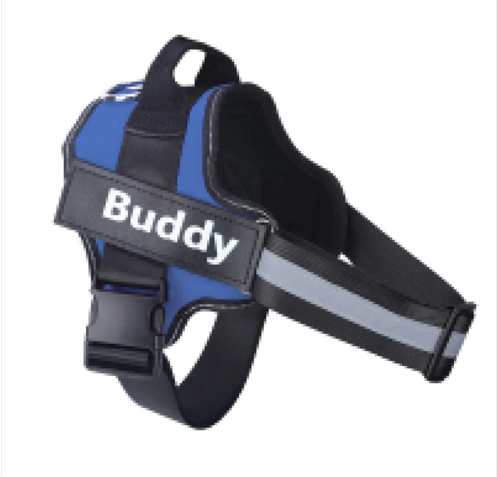 Close-up of the rugged nylon grab handle on the back of the harness
