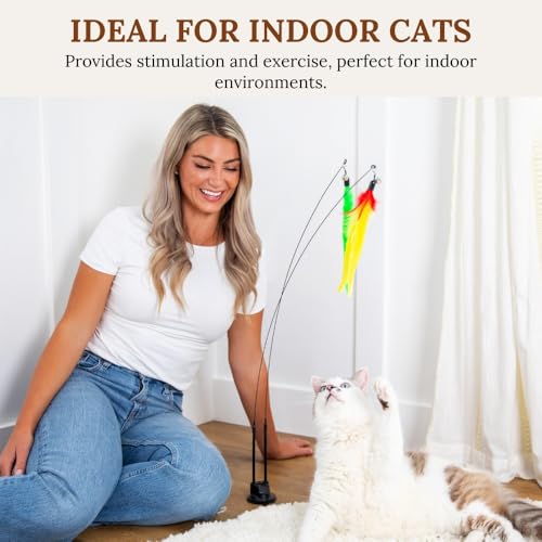 Cat batting at mounted teaser