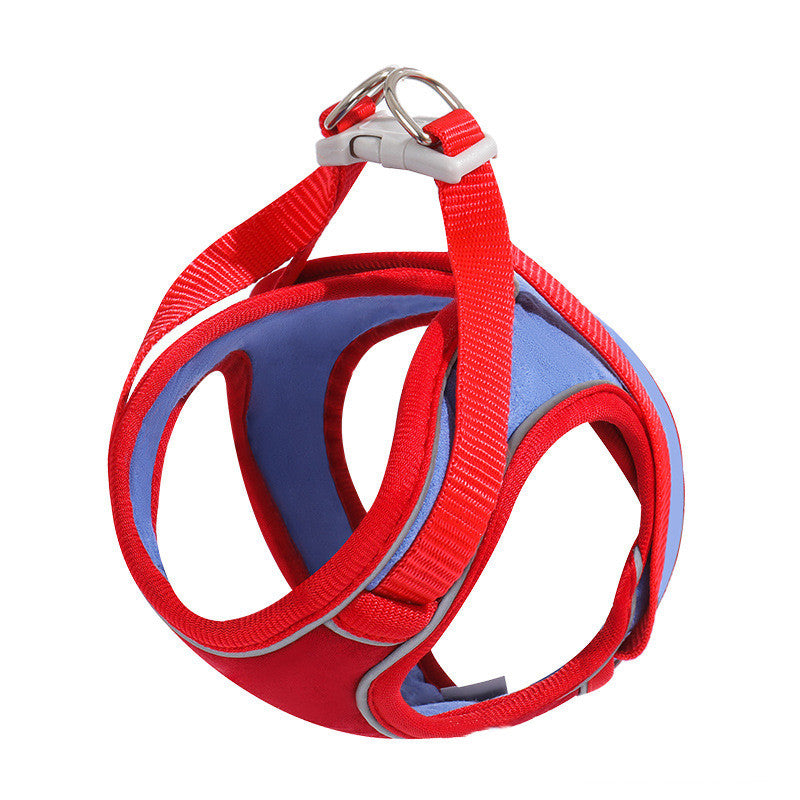 Escape-proof cat harness in soft suede with a matching 5 foot leash