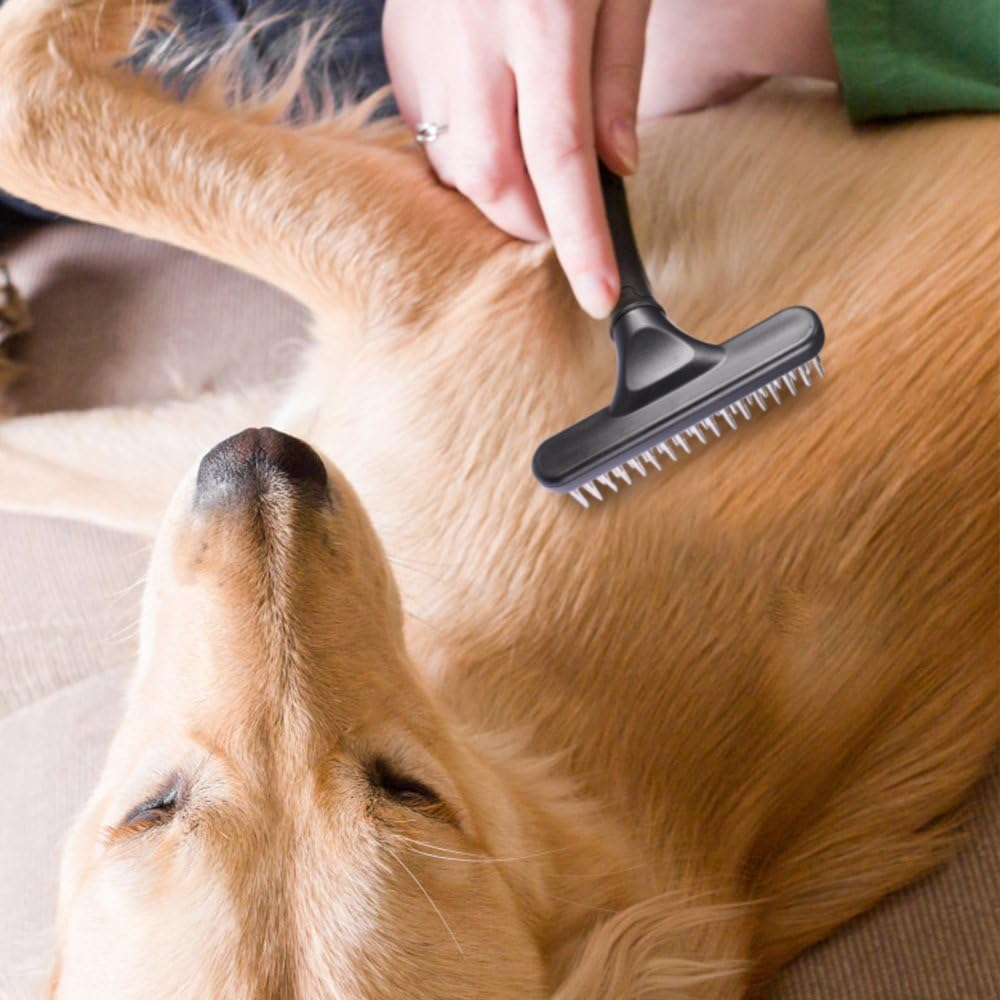 Double-Row Undercoat Rake for Dogs & Cats