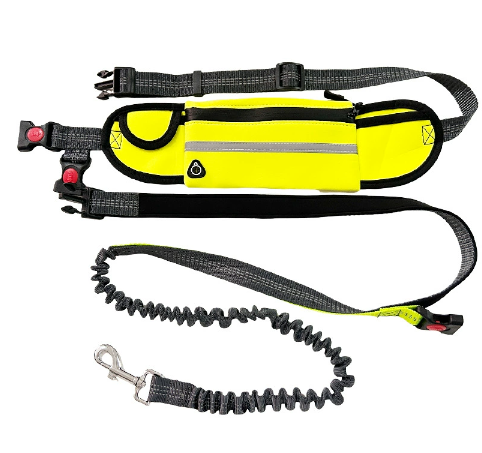 Close-up of the durable polyester webbing used in the running leash