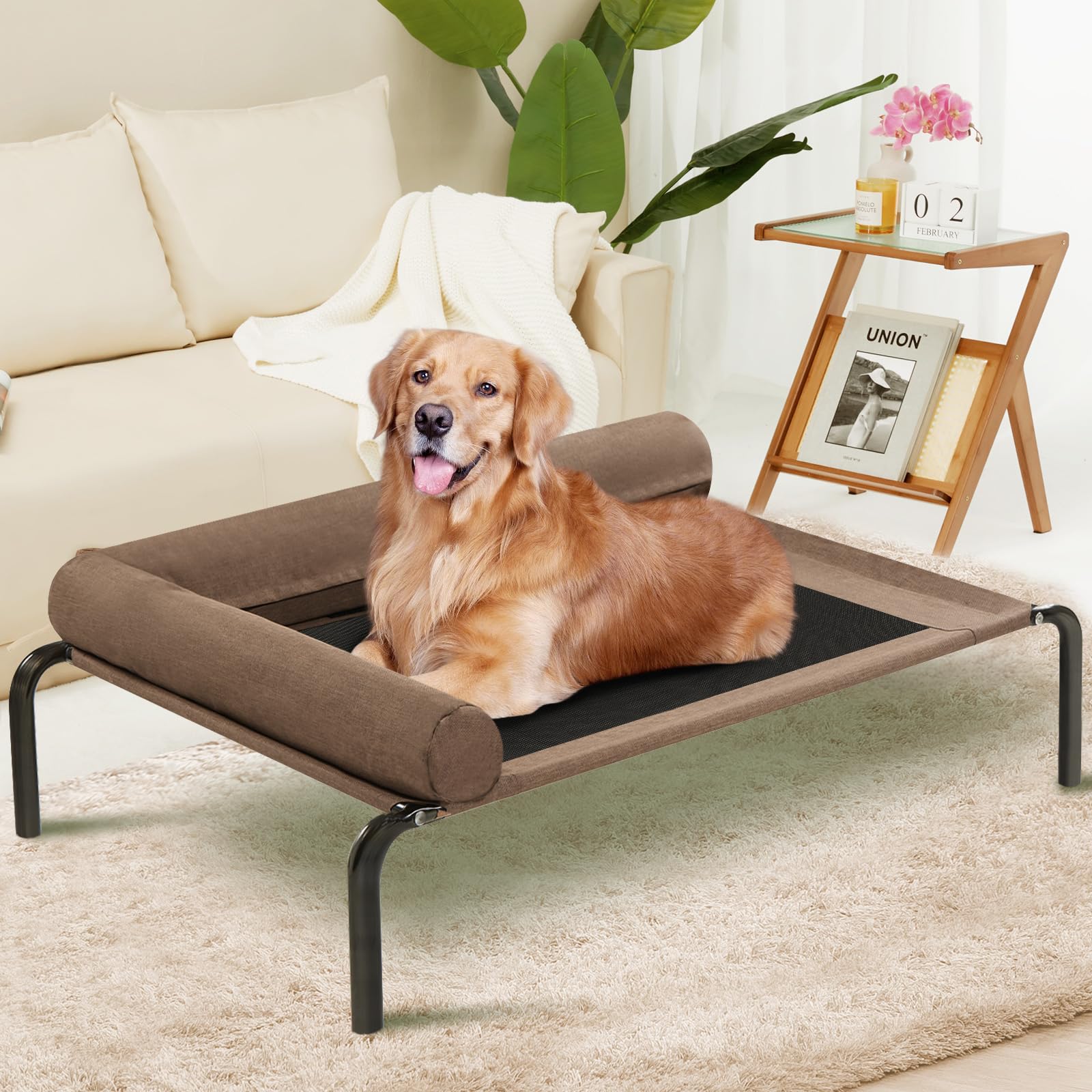 Elevated Cooling Dog Bed - Raised Cot for Large Dogs, Indoor & Outdoor