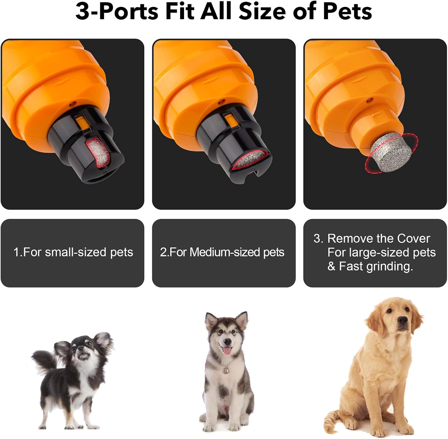 Dog nail grinder with LED lights – size reference