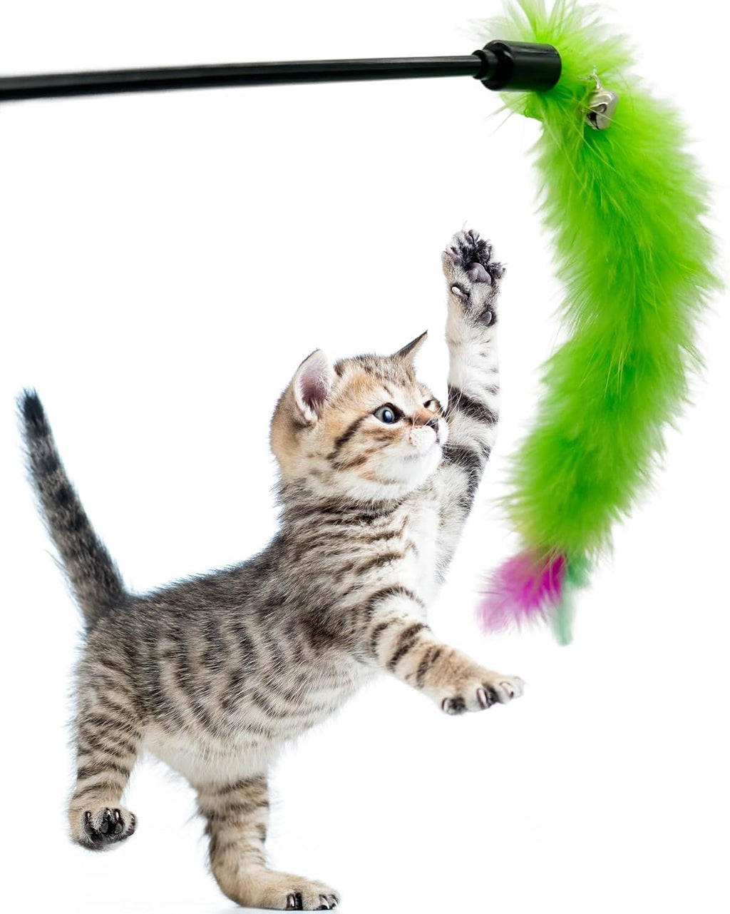6-piece cat feather wand teaser set