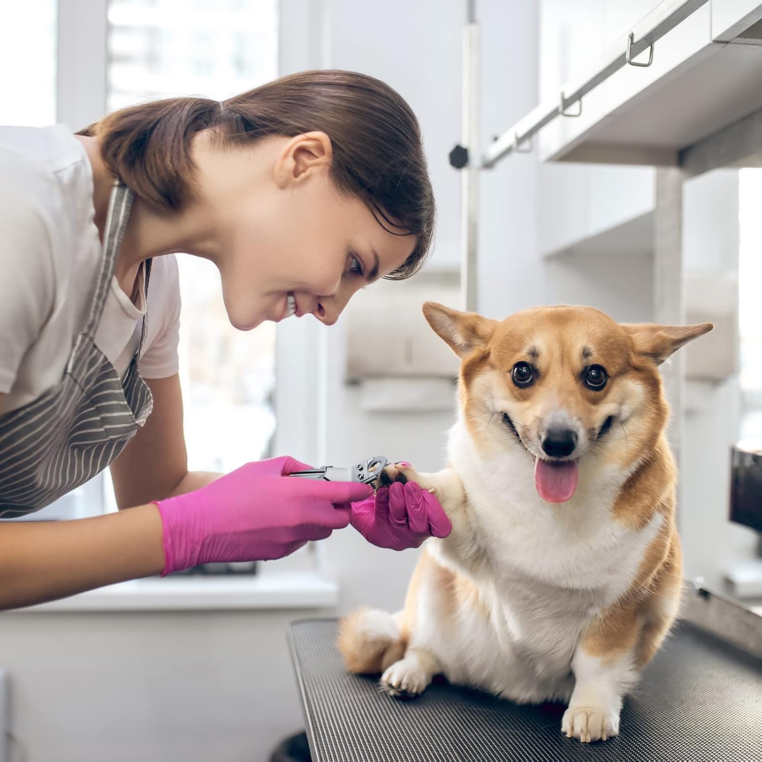 Professional guillotine pet nail clipper – size reference