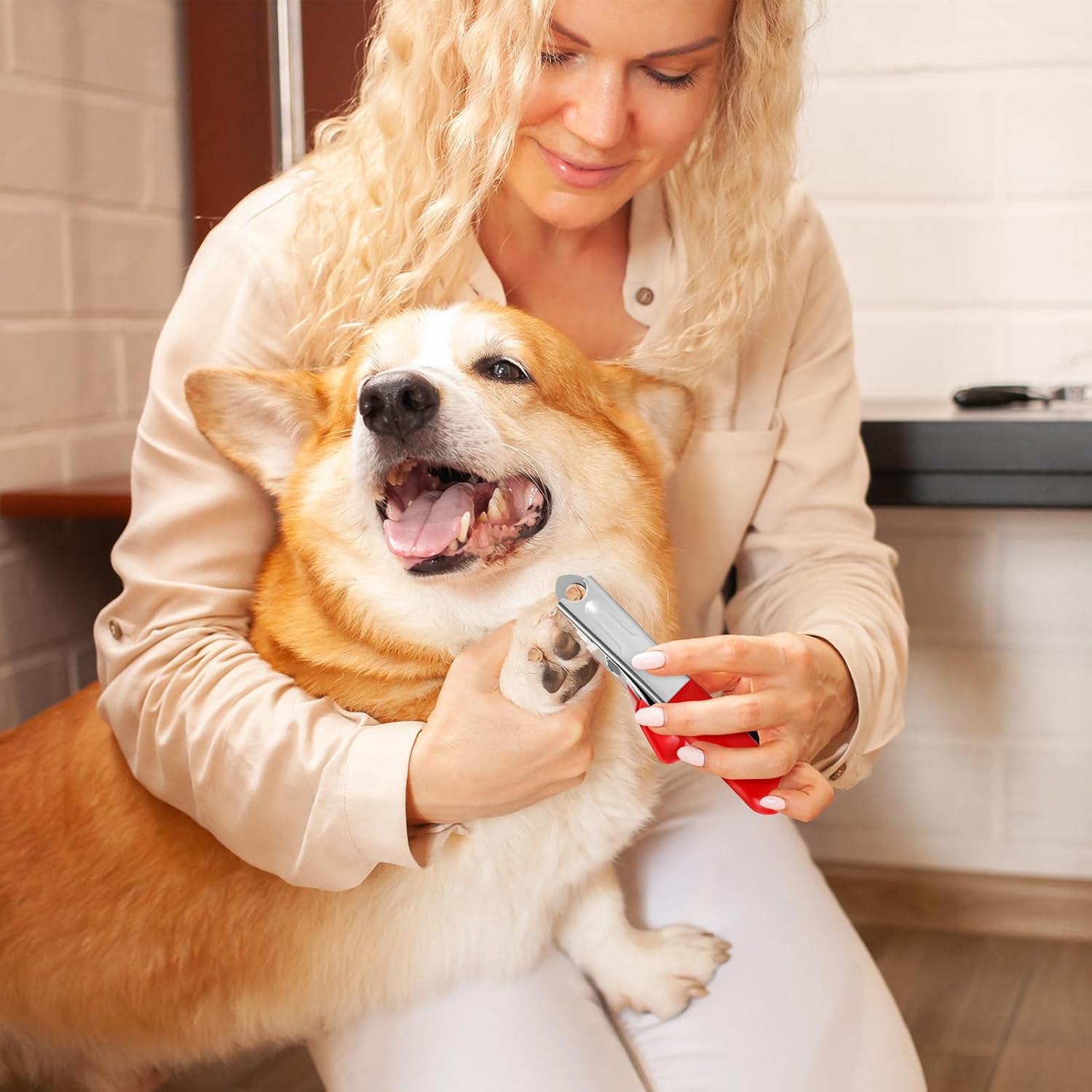 Professional guillotine pet nail clipper – in use