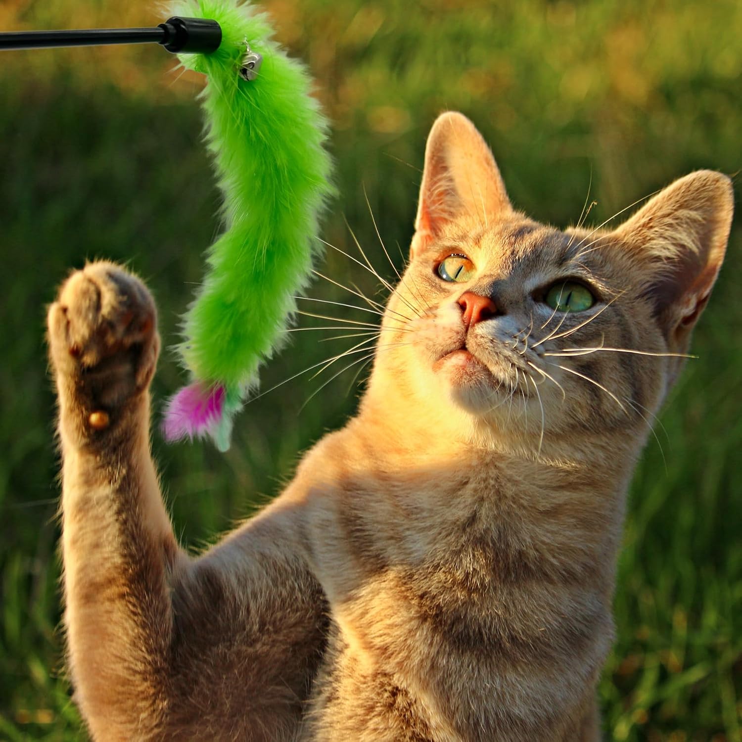 6-piece cat feather wand teaser set – size reference