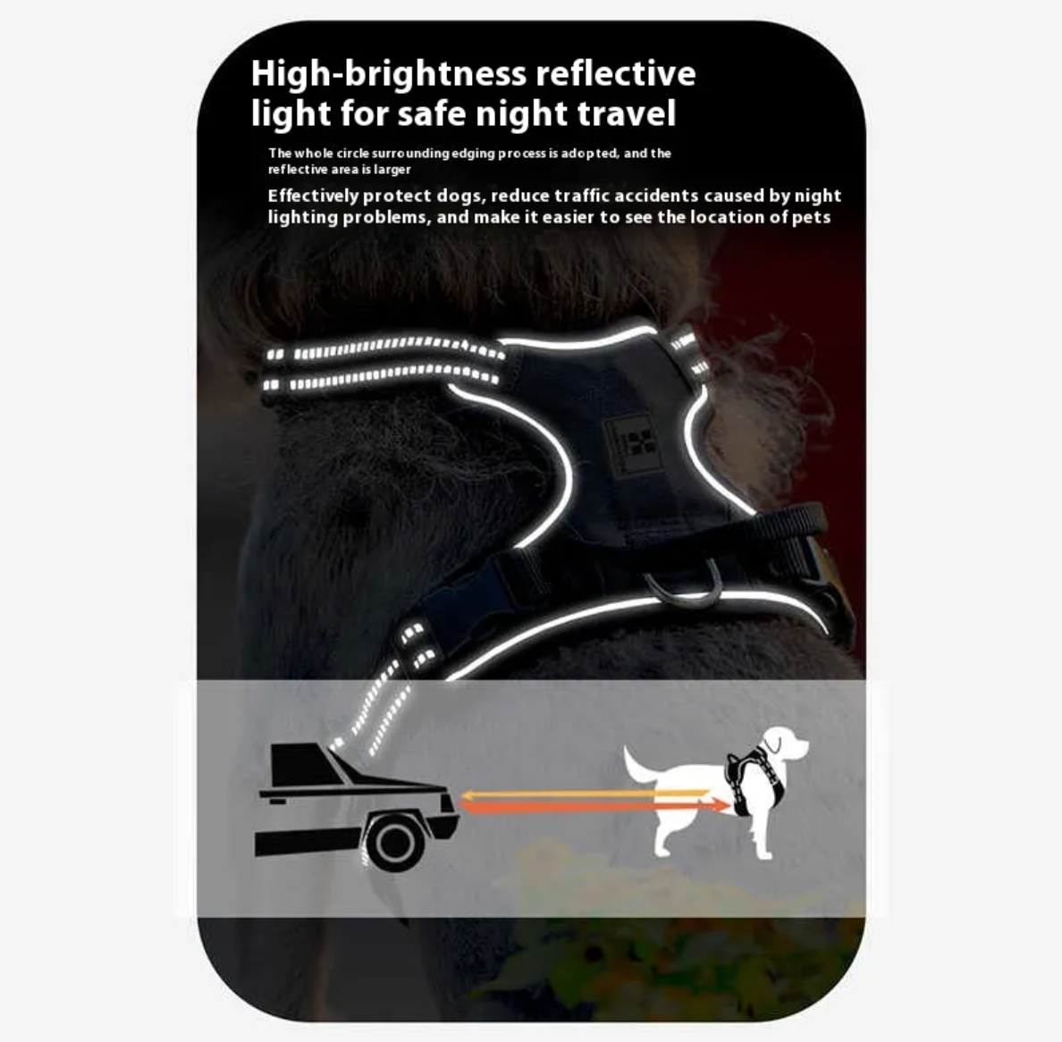 No-Pull Dog Harness with Leash
