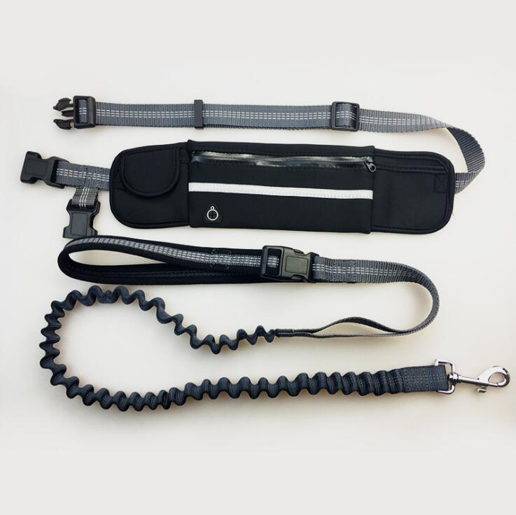 Dog running leash with storage pocket