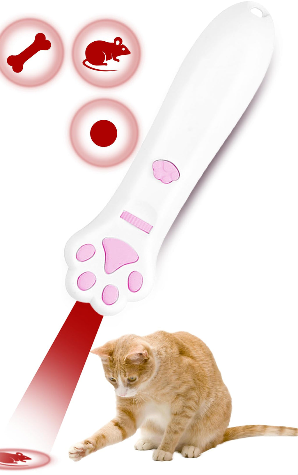 Cat chasing projected light patterns