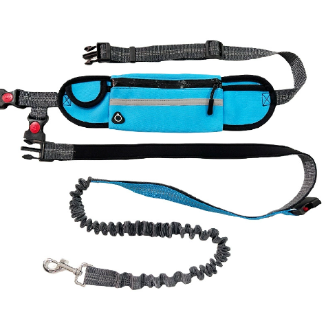 Waist belt shown from the side with the leash clipped to the front