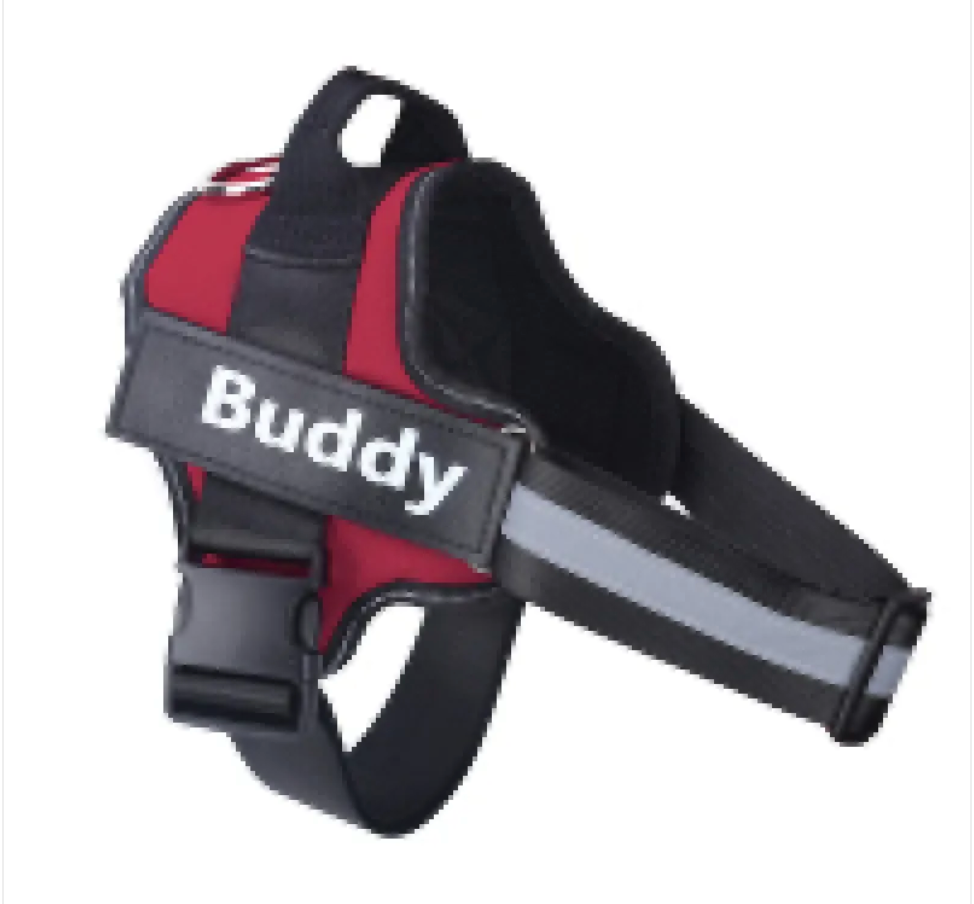Dog harness worn by a dog on a hike over rough outdoor ground