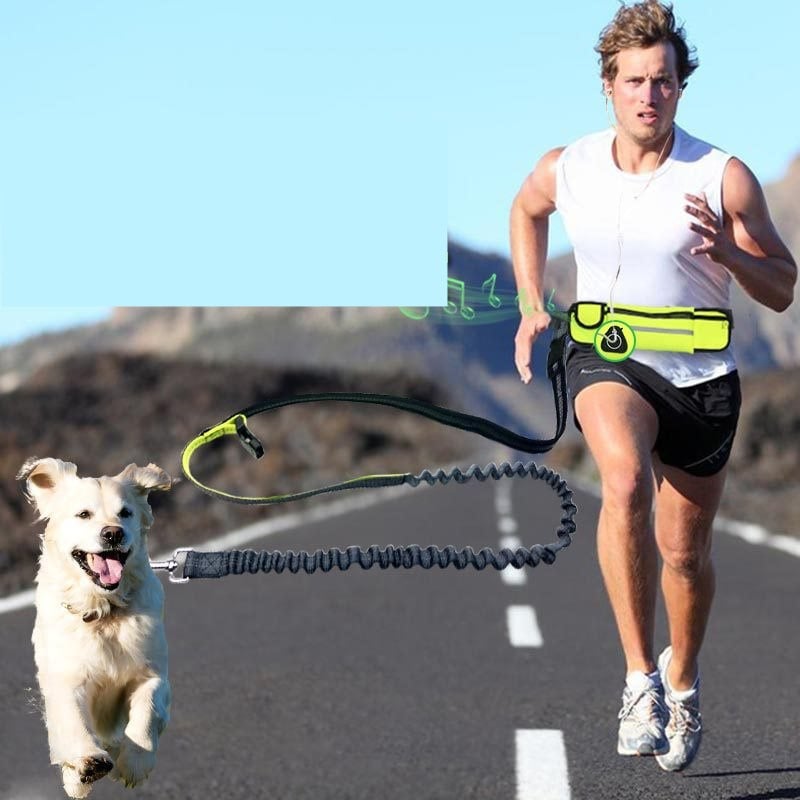 Hands-free running leash with an adjustable waist belt and built-in pocket