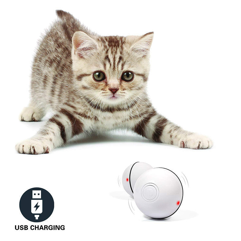 Self-Rolling LED Laser Cat Ball - Rechargeable Auto-Play Toy