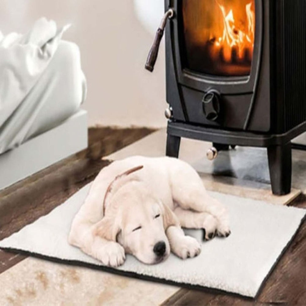 Self-Heating Thermal Pet Blanket — No Electricity, Washable, 35 x 25 in