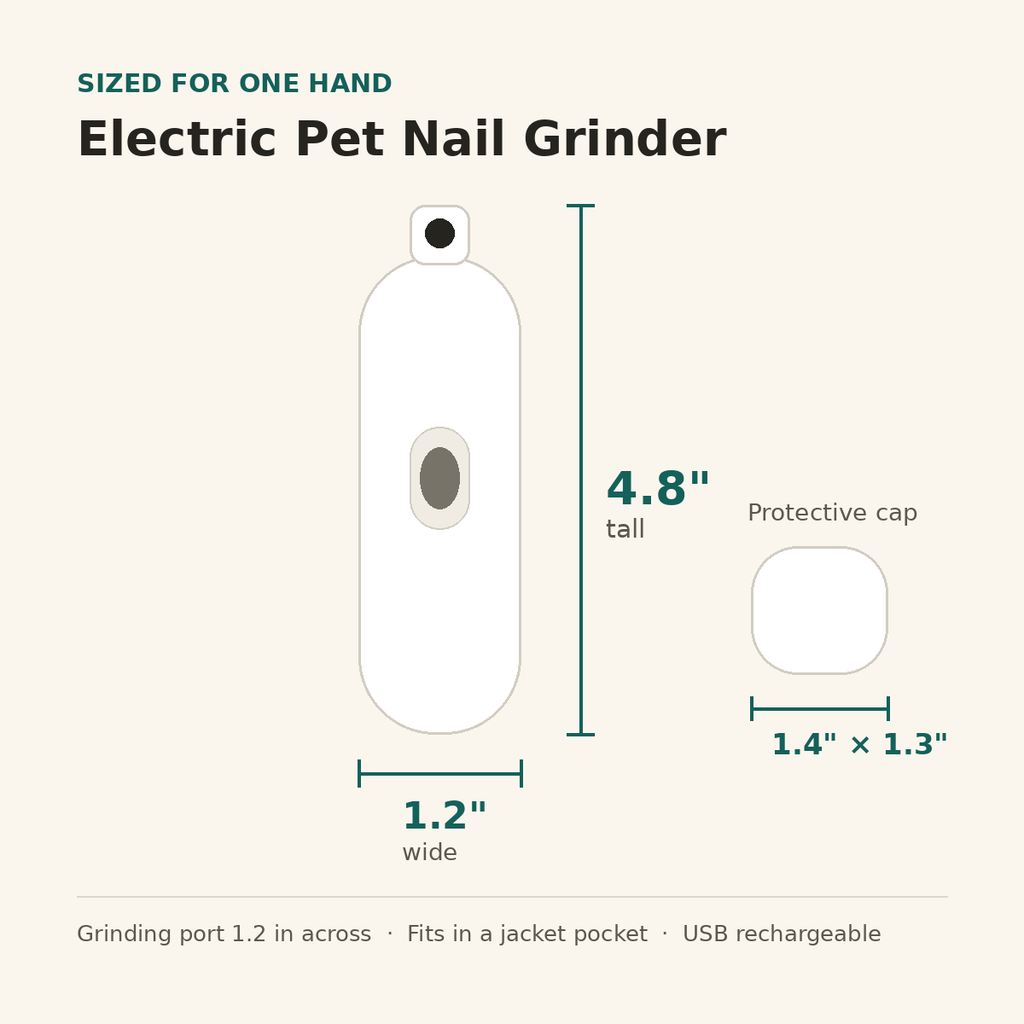Nail grinder dimensions in inches: 4.8 tall by 1.2 wide, cap 1.4 by 1.3