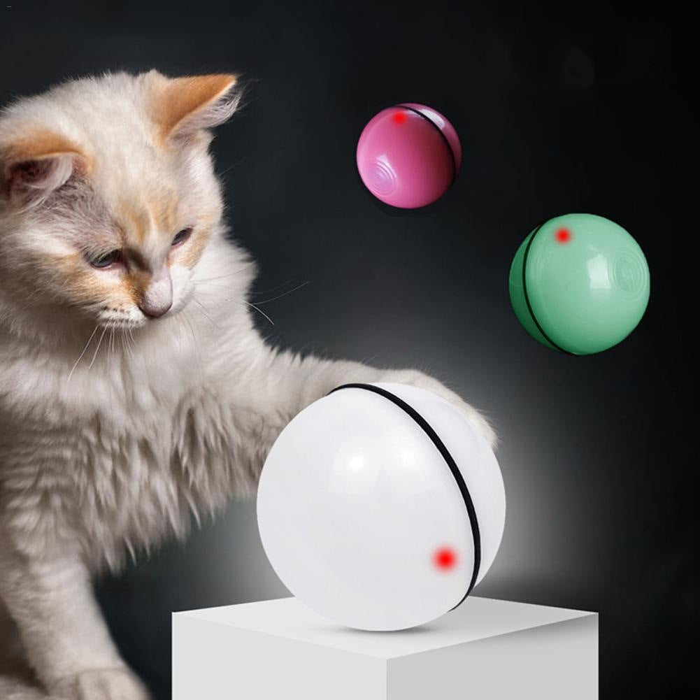 Cat batting at a self-rolling LED laser ball toy