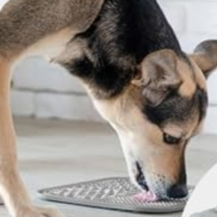Dog enjoying treats from lick mat on kitchen floor