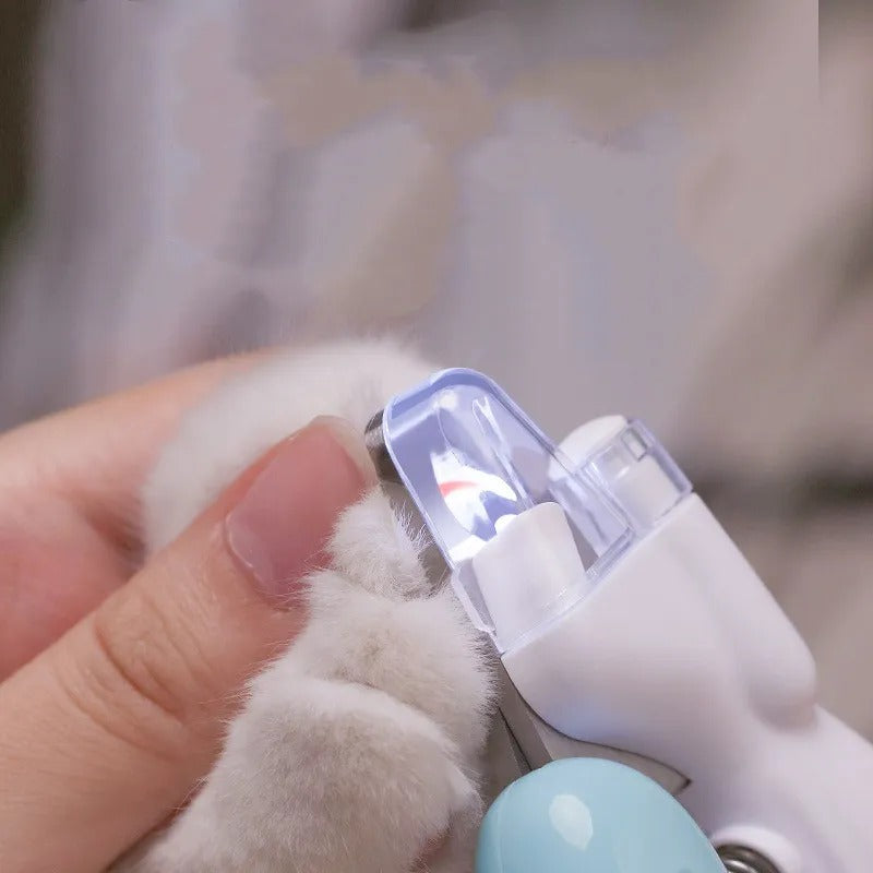 LED lit light guard showing the quick on a cat's nail