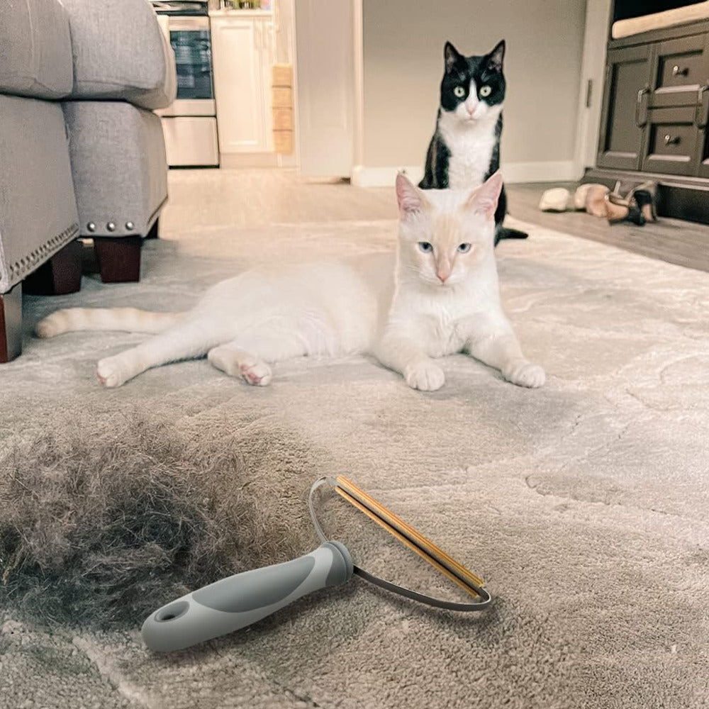 Reusable Pet Hair Remover Roller — two cats beside a rug cleared of shed fur