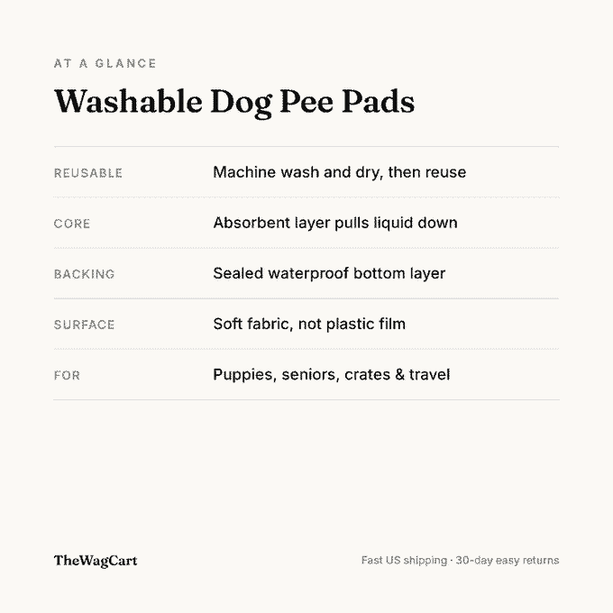 Washable pee pads at a glance: reusable, absorbent core, sealed waterproof backing